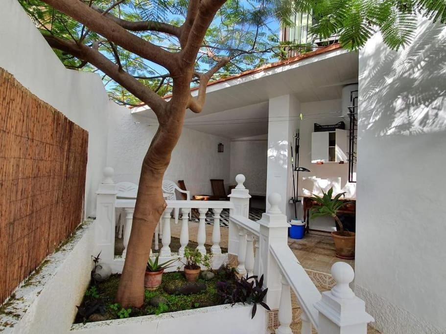 Apartamento Luminoso Con Patio Y Jardin ปูแอร์โตเดลาครูซ ภายนอก รูปภาพ
