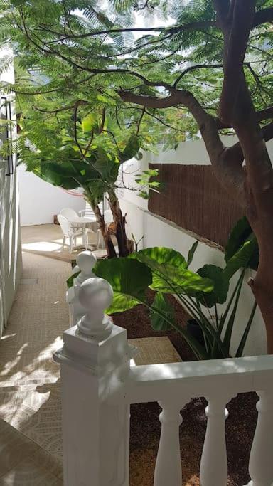 Apartamento Luminoso Con Patio Y Jardin ปูแอร์โตเดลาครูซ ภายนอก รูปภาพ
