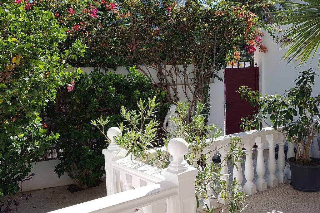 Apartamento Luminoso Con Patio Y Jardin ปูแอร์โตเดลาครูซ ภายนอก รูปภาพ