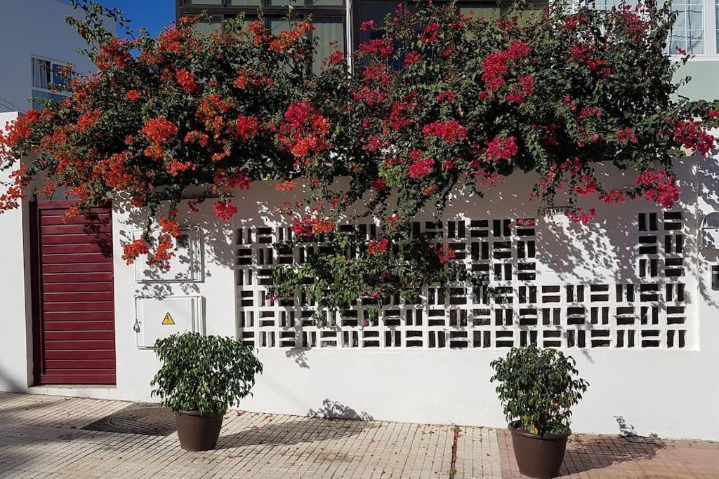 Apartamento Luminoso Con Patio Y Jardin ปูแอร์โตเดลาครูซ ภายนอก รูปภาพ